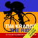 Tim Krabbé - The Rider (Unabridged)