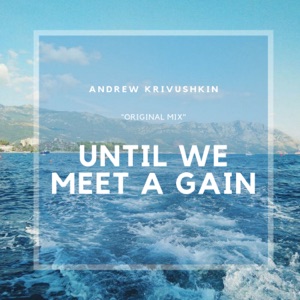 Until We Meet Again - Single