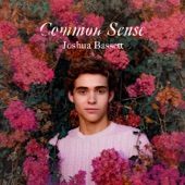 Common Sense artwork