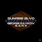 Never Give Up (feat. DJ Ganx & Georgi Zaykov) artwork