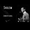 Sound of Silence - Shulem lyrics