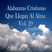 Alabanzas Cristianas Que Llegan Al Alma, Vol. 29 artwork