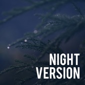 Night Version artwork