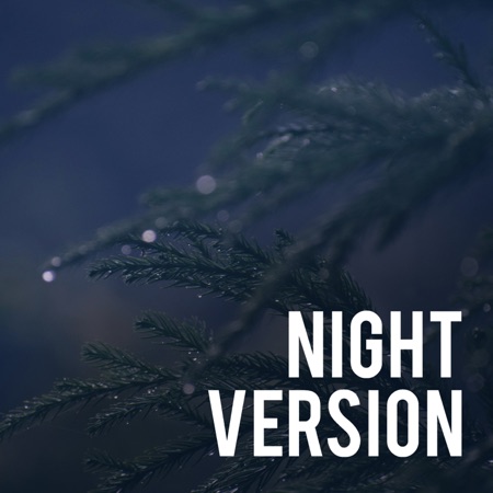 Night Version