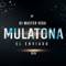 Mulatona (feat. El Enviado) - Dj Master Vega lyrics