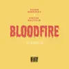Bloodfire (feat. Steven Malcolm) - Single album lyrics, reviews, download