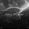 !!" Calm Thunder "!! album lyrics, reviews, download