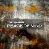 Peace of Mind (Peace To Mind) - Single album lyrics, reviews, download