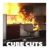 Cube Cuts - Single album lyrics, reviews, download