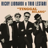 Tinggal Bilang (feat. Trio Lestari & Budapest Scoring Jazz Orchestra) artwork