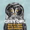 Grey Owl (feat. Otto Allard & Matt Brown) - Max Allard lyrics