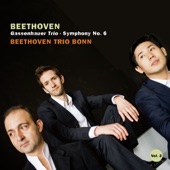 Beethoven: Gassenhauer Trio & Symphony No. 6 artwork