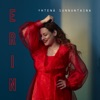 Erin - Yhtenä sunnuntaina