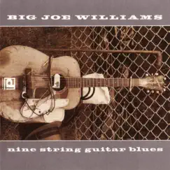 Nine String Guitar Blues by Big Joe Williams album reviews, ratings, credits