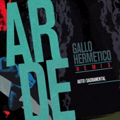Arde (Gallo Hermético Remix) artwork