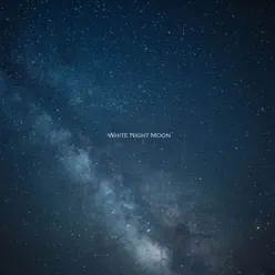 White Night Moon - Single - Temps Mort