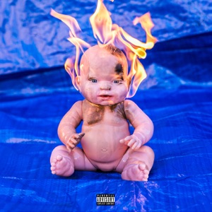 Caught in the Fire - Single