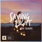 Saving Light (feat. HALIENE) [Nwyr Remix] - Single