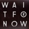Wait for Now (feat. Tawiah) [Pépé Bradock’s Wobbly Mix] artwork