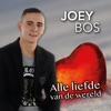 Alle Liefde Van De Wereld - Single