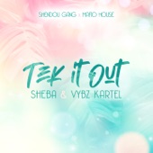 Tek It Out (feat. Shendou Gang & Mafio House) artwork