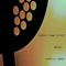 Elect - lotus land pilot lyrics