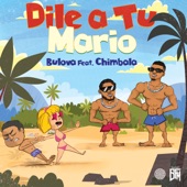 Dile a Tu Mario (feat. Chimbala) artwork