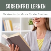 Lernen perfekt artwork