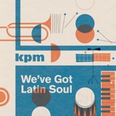 We've Got Latin Soul artwork