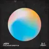 Stream & download Joy (Instrumental Mix)