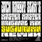 Jack Rabbit Slim's (Sugiurumn Remix) - Master Master lyrics