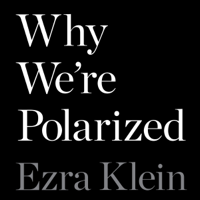 Ezra Klein - Why We're Polarized artwork