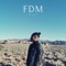 FDM (feat. Green Money) - Erwann lyrics
