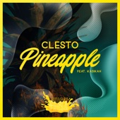 Pineapple (feat. Kasikah) artwork