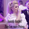 Zice Ion Catre Petrea - Single