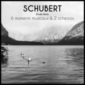 Schubert: 6 Moments Musicaux, D. 780 - 2 Scherzos, D. 593 artwork