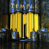 Temple - Gaddafi Gals