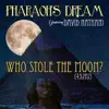 Who Stole the Moon (432Hz Version) [feat. David Nathan] - Single album lyrics, reviews, download