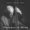 Dave Young - Make Me a Pallet on the Floor