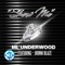 Show Me (feat. Jhonni Blaze) - M L Underwood lyrics