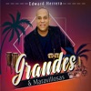 Grandes Y Maravillosas - Single