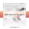 Breath of Heaven (It Is Well) - Single