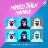 I've Chosen Disco (Extended Mix) artwork