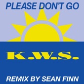 Please Don't Go (Sean Finn Remix) artwork