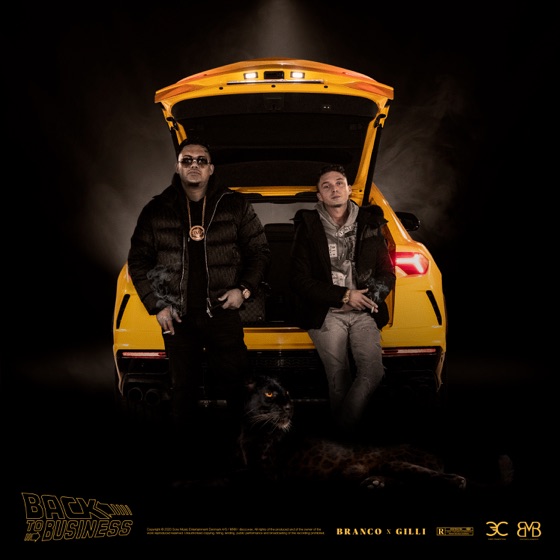 Cover artwork for BACK TO BUSINESS