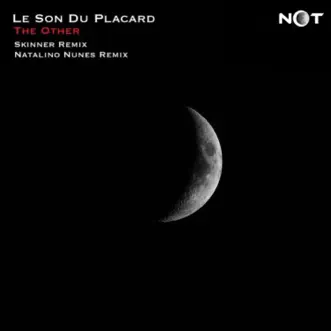 The Other (Skinner (UA) Remix) by Le Son Du Placard song reviws