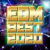EDM BEST 2020 artwork