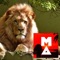 David Dance - Ma lyrics