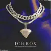 Stream & download Icebox - Single