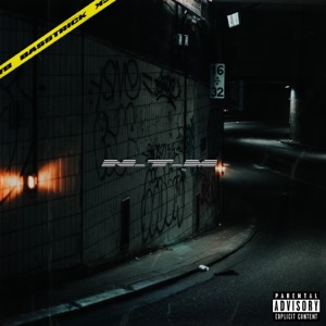 BASSTRICK N.T.M Artwork